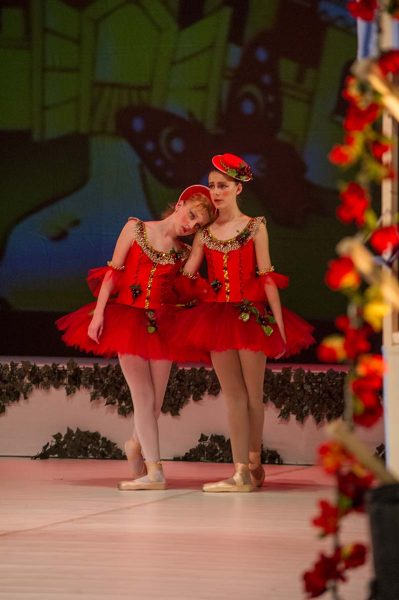 Princeza-Ksenija-Premijera-Chipollino-12