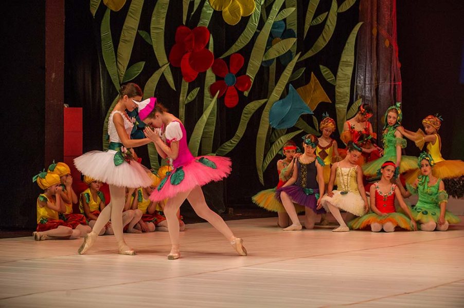 Princeza-Ksenija-Premijera-Chipollino-13