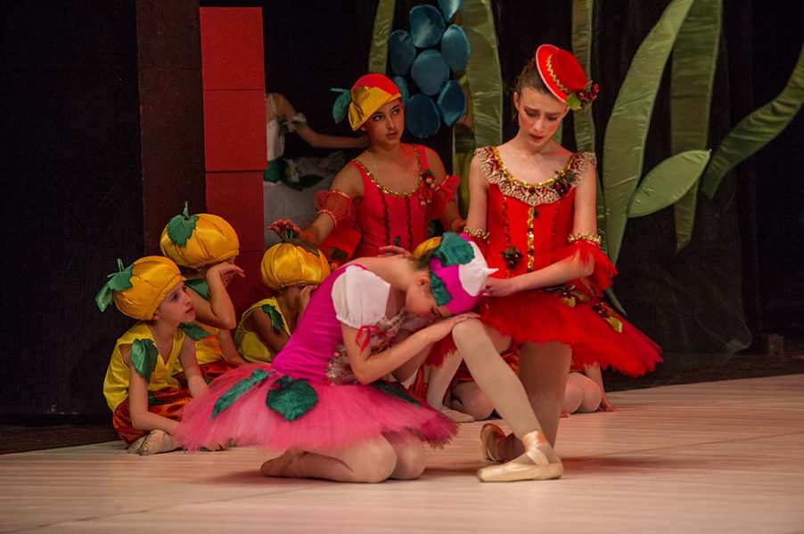 Princeza-Ksenija-Premijera-Chipollino-14