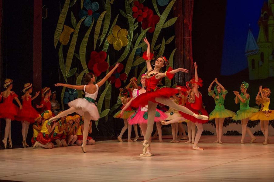 Princeza-Ksenija-Premijera-Chipollino-15